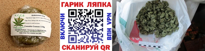 Купить закладки  Грязи  Cannafood конопля 