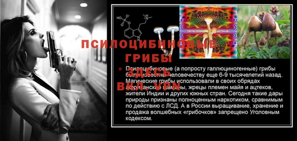 СК Белокуриха