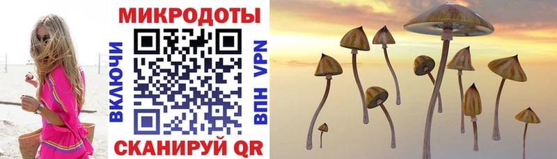 Псилоцибиновые грибы Magic Shrooms  Купить где  Грязи 